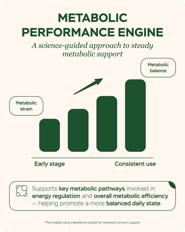 Rising bar chart illustrating metabolic support from early stage to consistent use